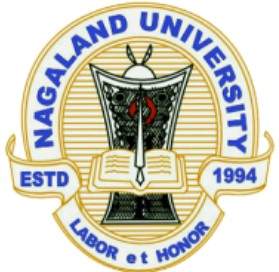 College logo