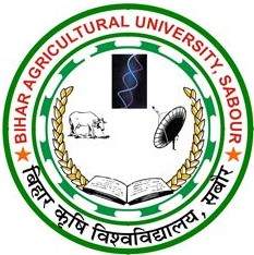 College logo