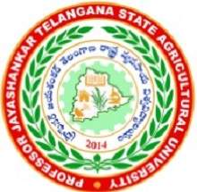 College logo