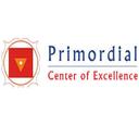 Primordial Center of Excellence