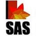 SAS Institute Of Management Studies