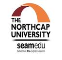 Seamedu - The NorthCap University